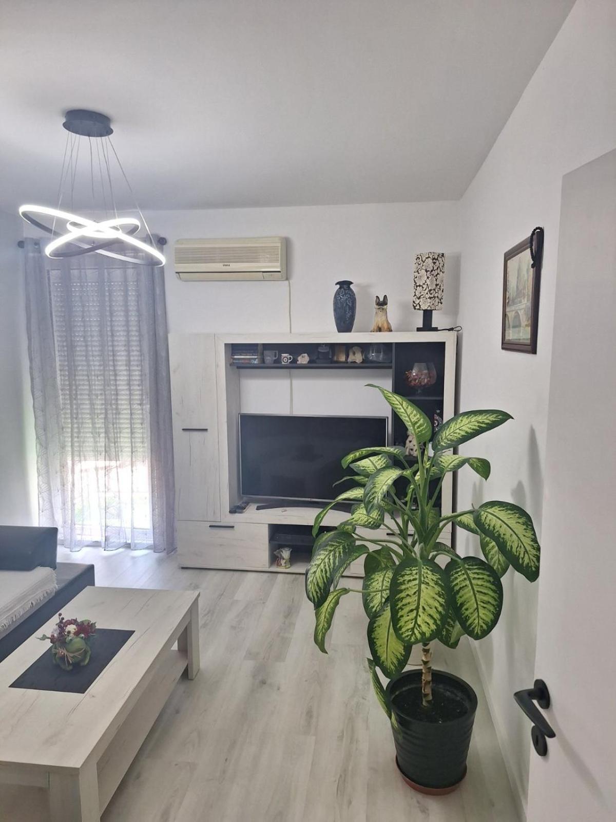 Center Apartment Budva