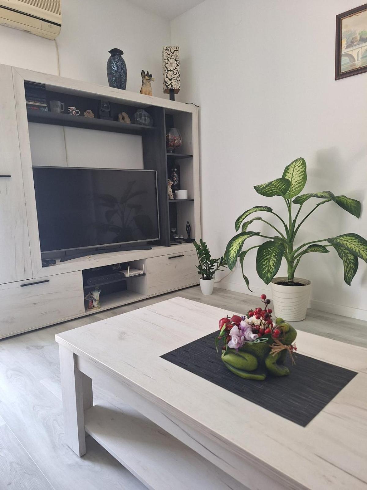 Apartment Center Budva